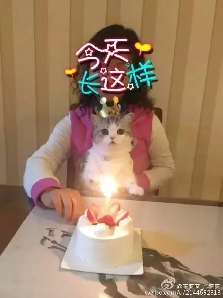 出一張嘴!那些說「養寵物哩丟災系」的爸媽 現在全「惜命命」:別帶走我金孫