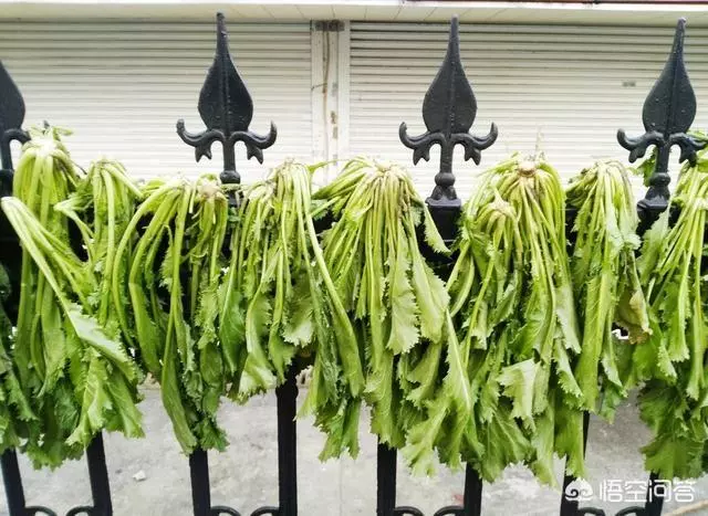 腌制鹹菜,用什麼材料比較好?怎麼製作?
