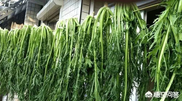 腌制鹹菜,用什麼材料比較好?怎麼製作?
