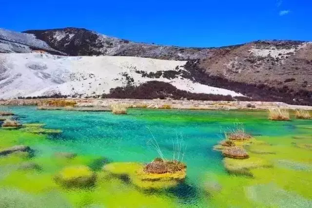 四川又一絕對秘境,水比九寨,與黃龍同秀,美的驚艷!