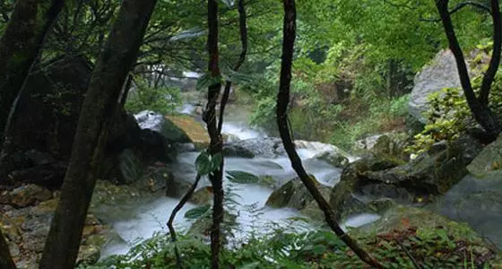廣東省附近自駕游首選景點,推薦給大家,你去過哪幾個景點啦