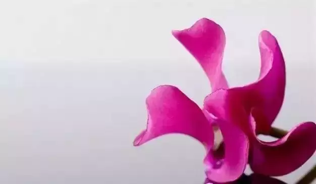 人與人,合,則來,不合,則散