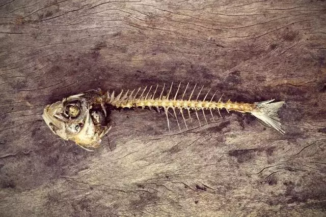 男子被魚刺卡喉,吞飯身亡!這些錯誤的急救法,害人不淺