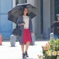 10月也可以賞「5月雪」! 中壢這條路桐花開好開滿