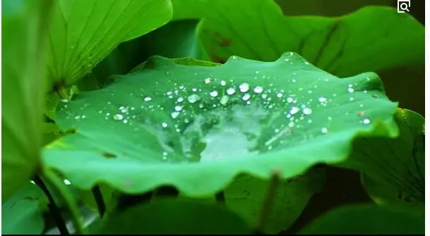 慈禧一輩子沒喝過白開水,她喝的水自認為高貴無比,實則非常骯髒放到現在根本沒人喝!