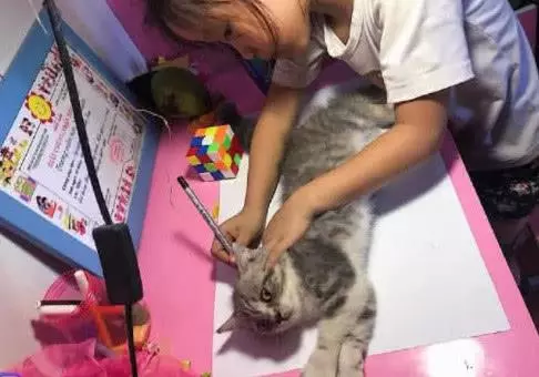 老師讓女孩回家畫貓,女孩突然想到一個好辦法,頓時讓人笑到岔氣