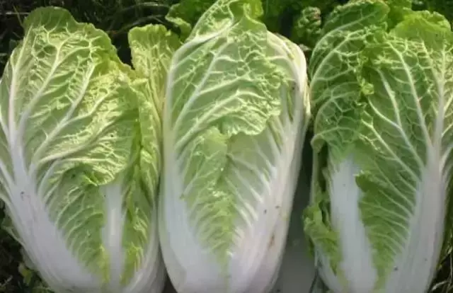 手腳乾燥裂口?教你一招就搞定,讓你的手腳細膩又滑嫩!