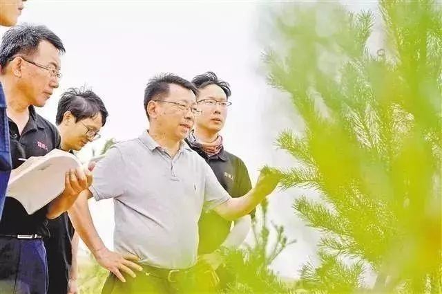 點沙成土!中國這一逆天發明震撼世界,讓沙漠種植成為現實!
