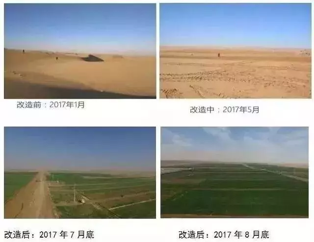 點沙成土!中國這一逆天發明震撼世界,讓沙漠種植成為現實!
