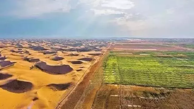點沙成土!中國這一逆天發明震撼世界,讓沙漠種植成為現實!