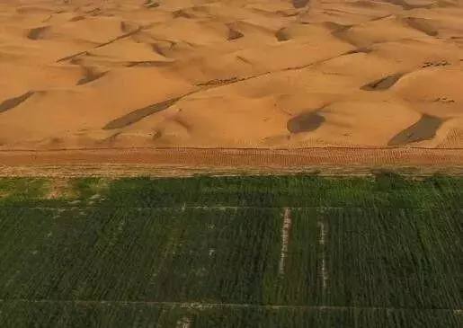 點沙成土!中國這一逆天發明震撼世界,讓沙漠種植成為現實!