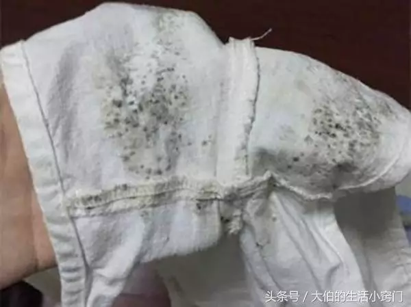 衣服過一個季節拿出來全發霉... 大伯教我幾個土方法,「去除霉斑」乾淨溜溜!