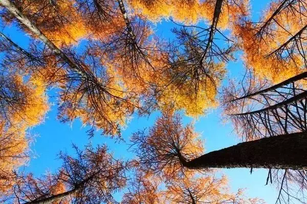 自駕游川西最後秘境,比稻城還美的五大景區,鮮為人知