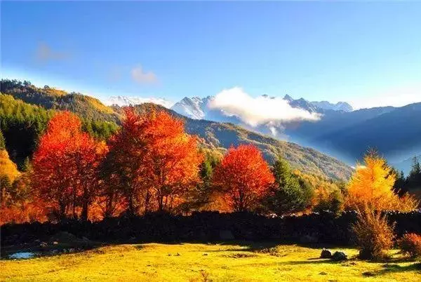 自駕游川西最後秘境,比稻城還美的五大景區,鮮為人知