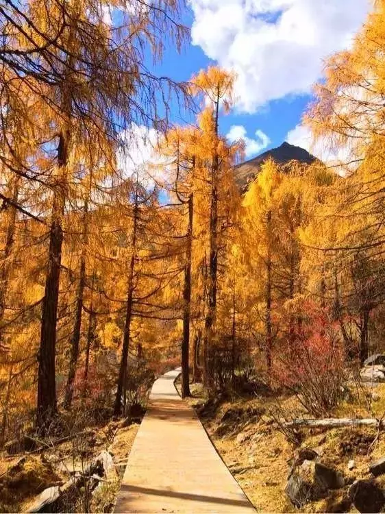 自駕游川西最後秘境,比稻城還美的五大景區,鮮為人知