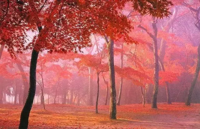自駕游川西最後秘境,比稻城還美的五大景區,鮮為人知