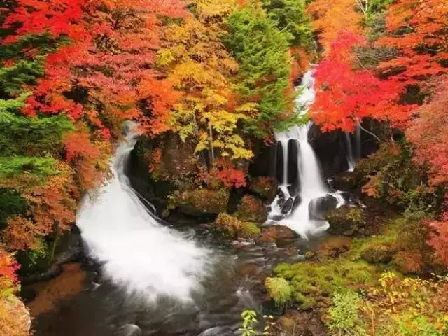 自駕游川西最後秘境,比稻城還美的五大景區,鮮為人知
