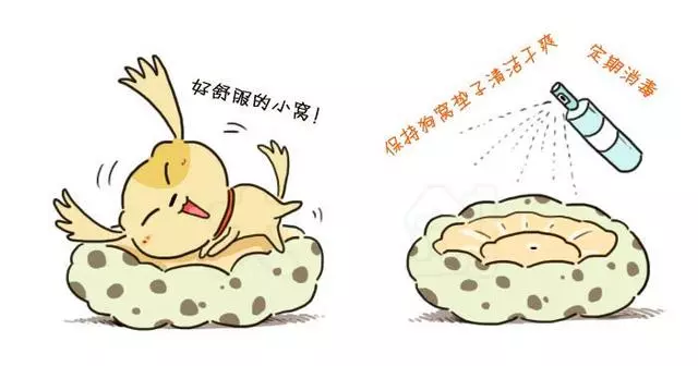 婆婆嫌棄我養狗家裡髒,6招護理的小辦法,狗狗被打理得好精緻