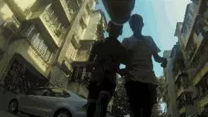 請你放過狗,讓它自生自滅吧