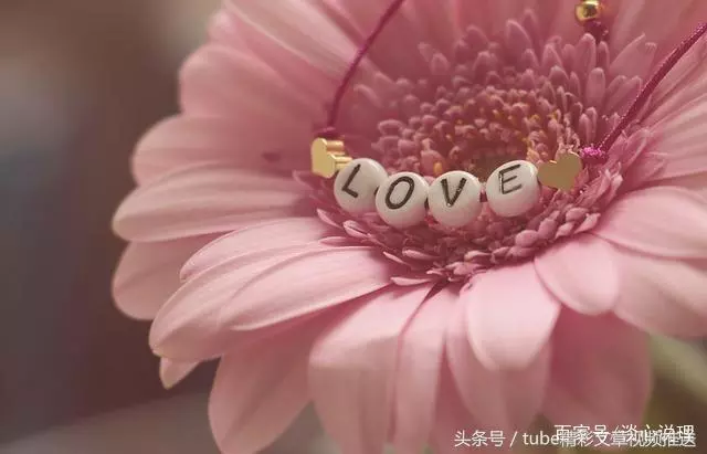 心理測試:第一眼看到什麼,測試在愛情中你有多盲目?