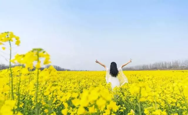 你敢不敢,問問自己三個問題(深度好文)