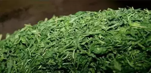 耳後一個窩,每天堅持按10秒,降糖調氣血,有效預防併發症!