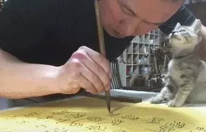 一人一貓一世界,主人全神貫注練書法,懵懂小貓全程作陪,超暖