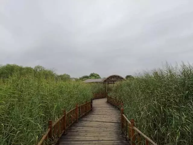 中國的「1號公路」!串聯陝西無數絕美風光,獨覽黃土高坡美景!