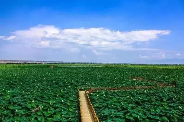 中國的「1號公路」!串聯陝西無數絕美風光,獨覽黃土高坡美景!
