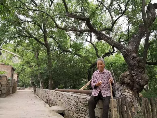中國的「1號公路」!串聯陝西無數絕美風光,獨覽黃土高坡美景!