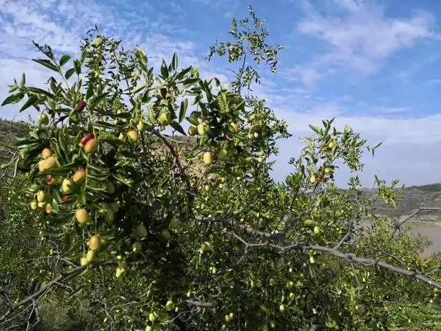 中國的「1號公路」!串聯陝西無數絕美風光,獨覽黃土高坡美景!