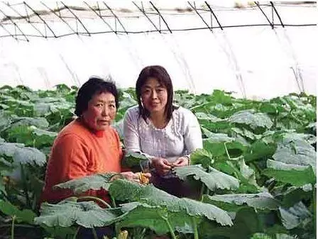哥嫂分家要爸不要媽,我帶媽回家,幾個月後,我拿10000送她回去