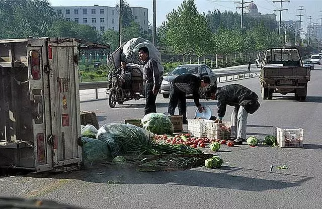 苦等10年,母親痛罵養養兒不如養狗,卻沒人忍心告訴她兒子情況
