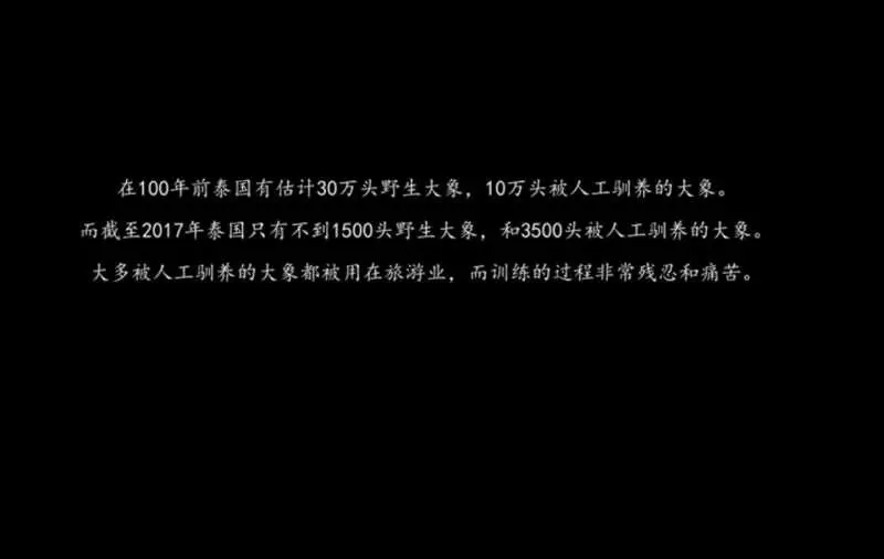 別騎大象了! 他潛入景點揭虐象黑幕「拿鉤子狠刺」 他心痛:大象永遠記得