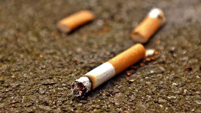 檢舉違規到底有多賺?職業檢舉達人「只靠舉發這個」...年收入可破百萬!網驚:立馬辭職