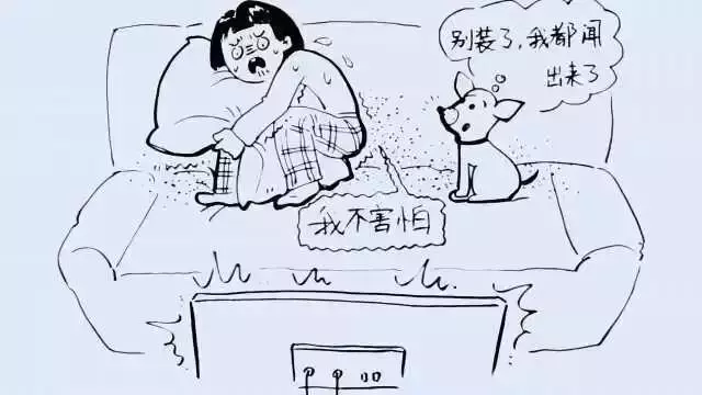 狗狗討人喜愛的秘密,居然是因為鼻子