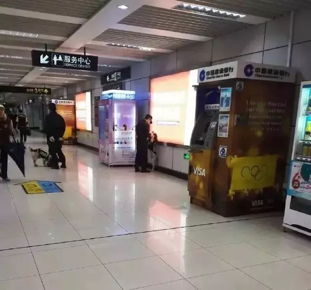 一生背負光榮與使命的警犬,卻沒能安享晚年……