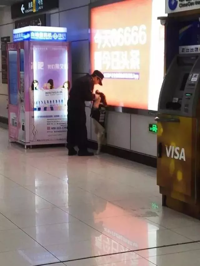 一生背負光榮與使命的警犬,卻沒能安享晚年……