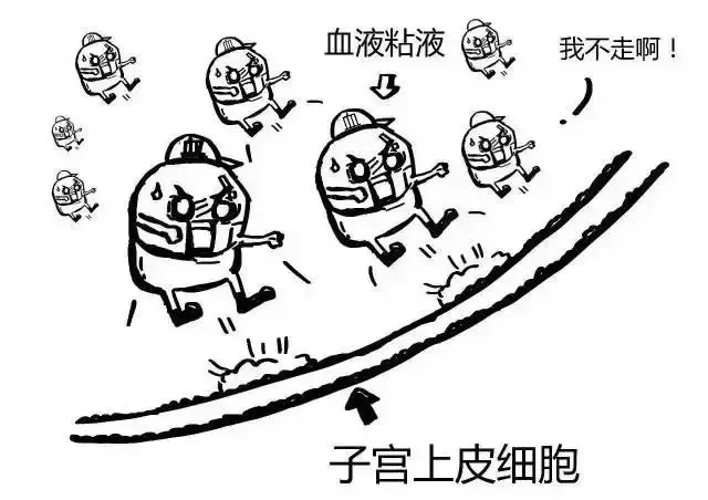 狗狗屁股流血還意圖做不可描述之事?它是怎麼了?
