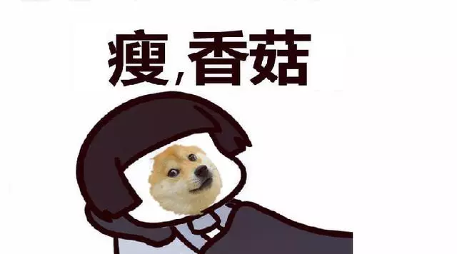 「您看我的狗瘦麼?」關於狗狗體重的疑問解析