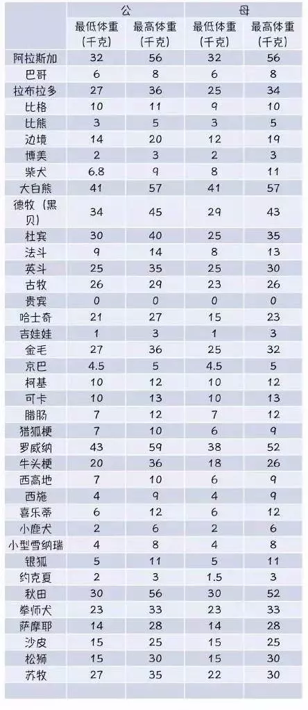 「您看我的狗瘦麼?」關於狗狗體重的疑問解析