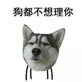 你家狗狗夠不夠健康,只要看這10點就知道啦