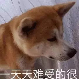 你家狗狗夠不夠健康,只要看這10點就知道啦