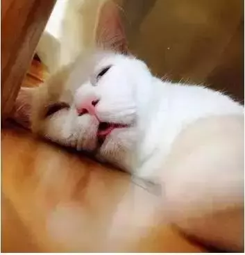 家長的一天!簡直太形象了,你是這樣子嗎?哈哈,笑死我了!