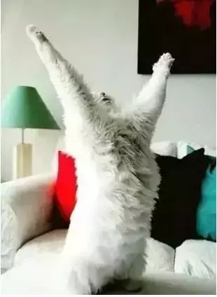 家長的一天!簡直太形象了,你是這樣子嗎?哈哈,笑死我了!