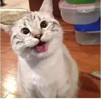 家長的一天!簡直太形象了,你是這樣子嗎?哈哈,笑死我了!