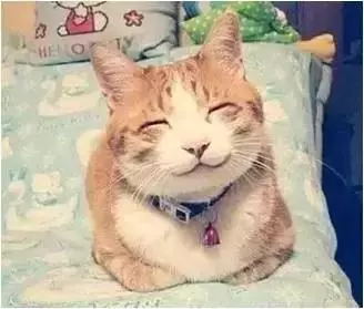 家長的一天!簡直太形象了,你是這樣子嗎?哈哈,笑死我了!