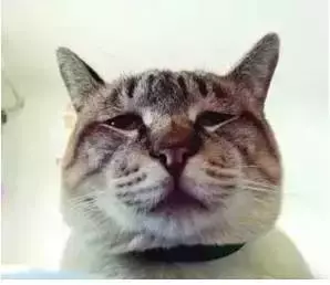 家長的一天!簡直太形象了,你是這樣子嗎?哈哈,笑死我了!