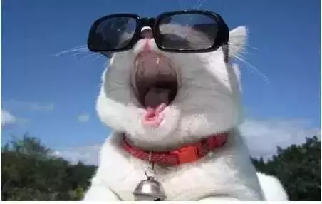家長的一天!簡直太形象了,你是這樣子嗎?哈哈,笑死我了!