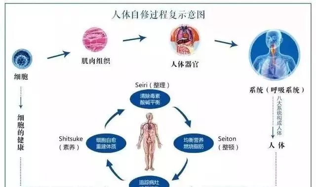 「三分治,七分養」最好的醫生是人體的自愈力!